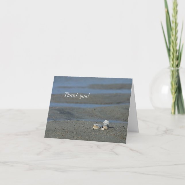 Seashell Pile Thank You Card (Front)
