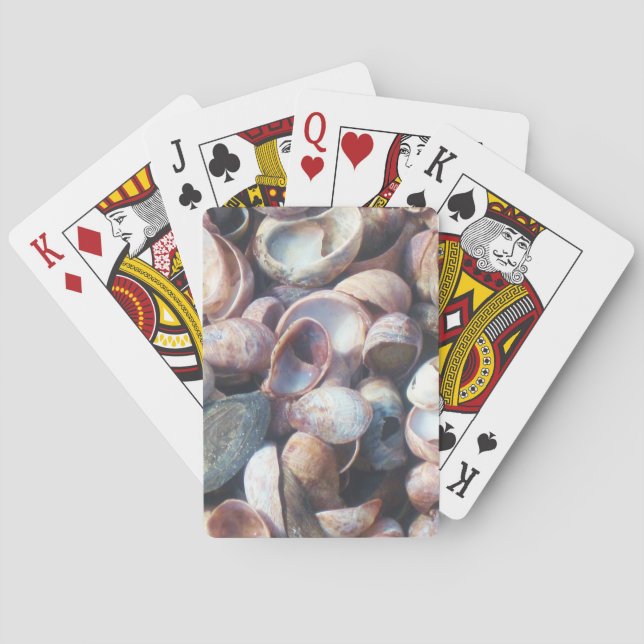 Seashell Playing Cards (Back)
