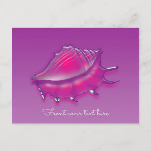 Seashell Postcard