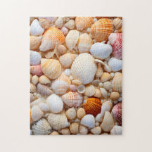 Seashell Puzzle. 