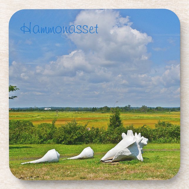 Seashell Sculpture Coaster (Front)