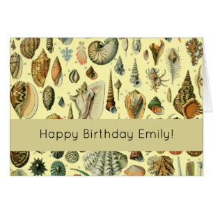 Seashell Shell Mollusk Clam Elegant Classic Art