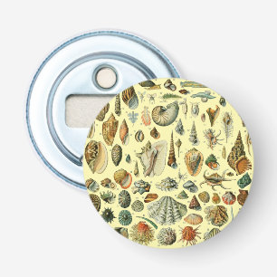 Seashell Shell Mollusk Clam Elegant Classic Art Bottle Opener