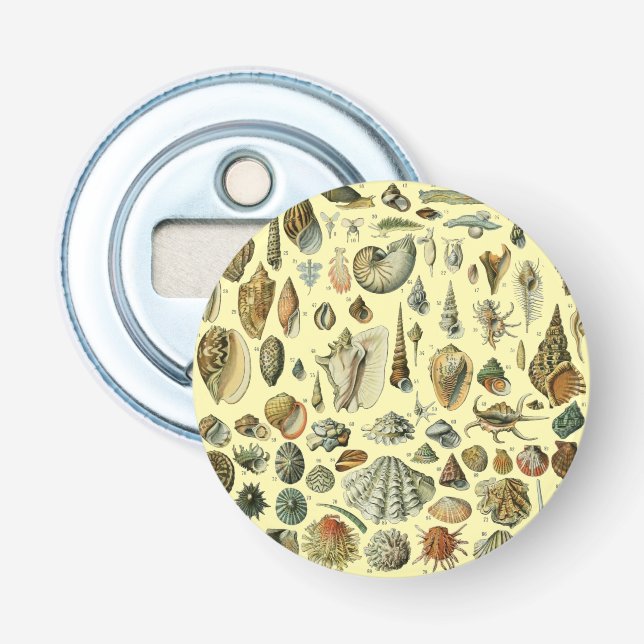 Seashell Shell Mollusk Clam Elegant Classic Art Bottle Opener (Front)