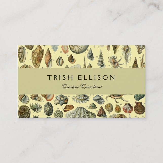 Seashell Shell Mollusk Clam Elegant Classic Art Business Card (Front)