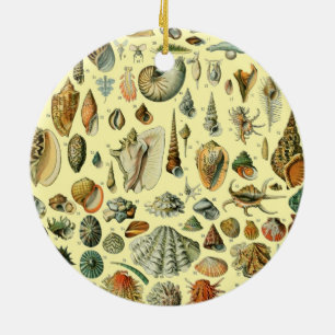 Seashell Shell Mollusk Clam Elegant Classic Art Ceramic Tree Decoration