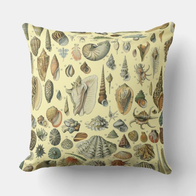 Seashell Shell Mollusk Clam Elegant Classic Art Cushion (Front)