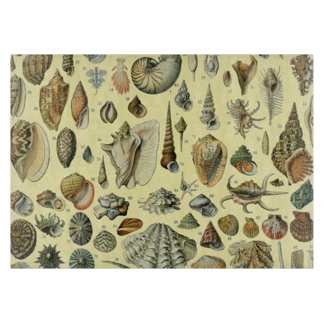 Seashell Shell Mollusk Clam Elegant Classic Art Cutting Board (Front)