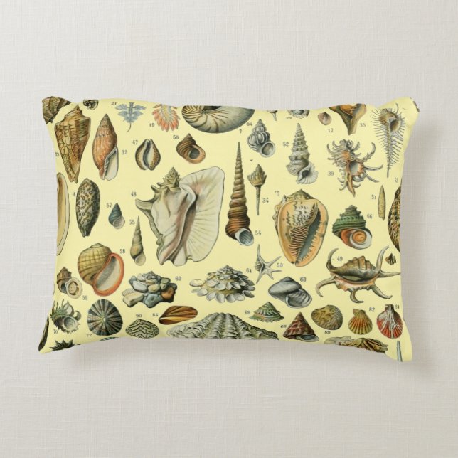 Seashell Shell Mollusk Clam Elegant Classic Art Decorative Cushion (Back)