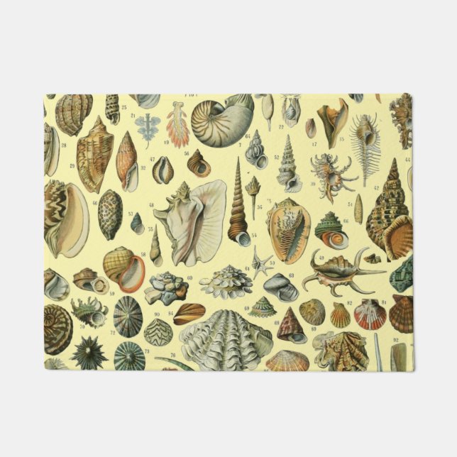 Seashell Shell Mollusk Clam Elegant Classic Art Doormat (Front)
