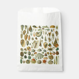 Seashell Shell Mollusk Clam Elegant Classic Art Favour Bags