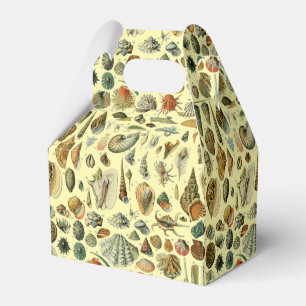 Seashell Shell Mollusk Clam Elegant Classic Art Favour Box
