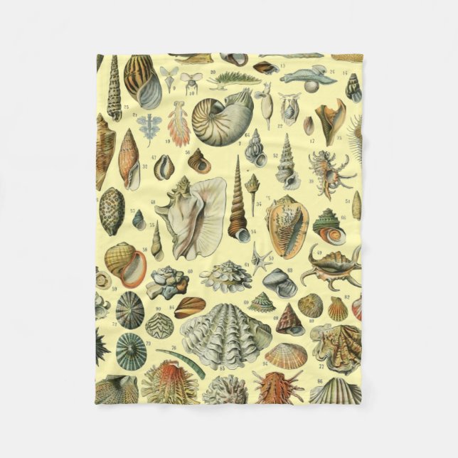 Seashell Shell Mollusk Clam Elegant Classic Art Fleece Blanket (Front)