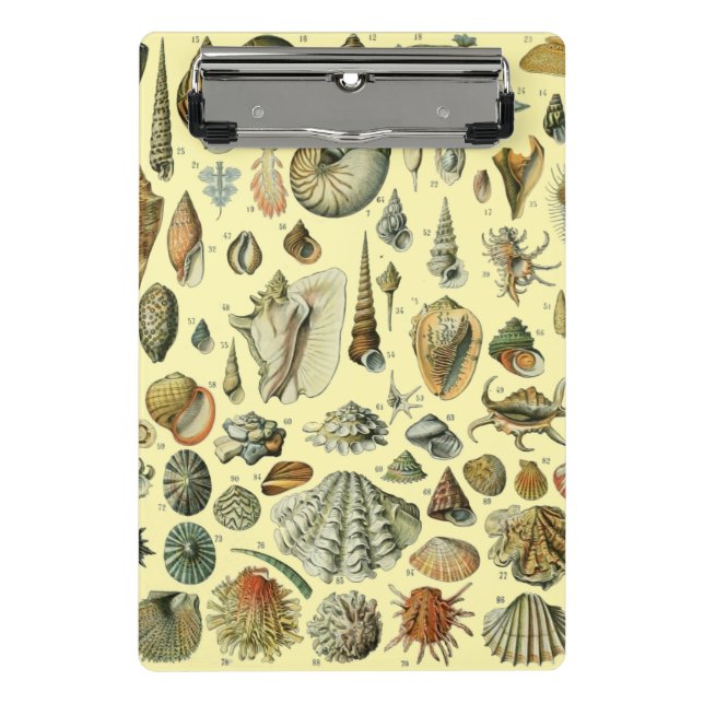 Seashell Shell Mollusk Clam Elegant Classic Art Mini Clipboard (Front)