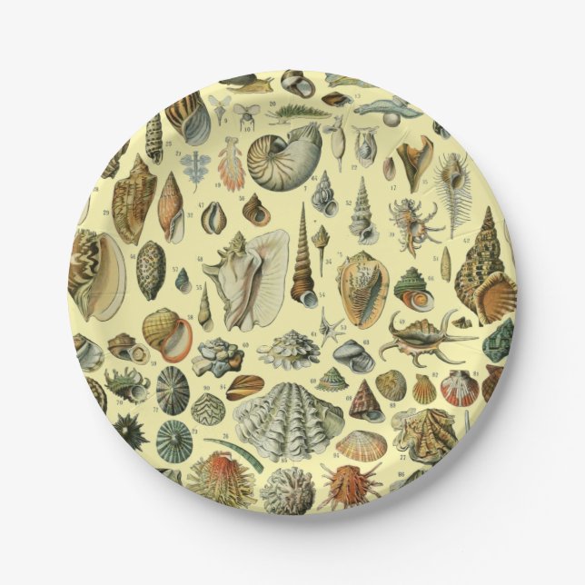 Seashell Shell Mollusk Clam Elegant Classic Art Paper Plate (Front)