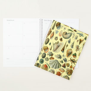 Seashell Shell Mollusk Clam Elegant Classic Art Planner