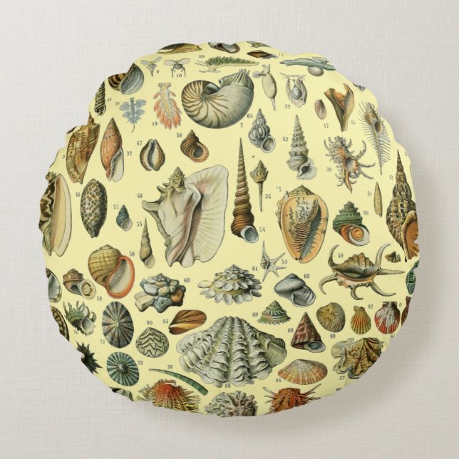 Seashell Shell Mollusk Clam Elegant Classic Art Round Cushion (Front)