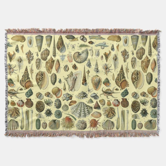 Seashell Shell Mollusk Clam Elegant Classic Art Throw Blanket (Front)