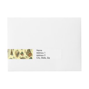 Seashell Shell Mollusk Clam Elegant Classic Art Wraparound Address Label