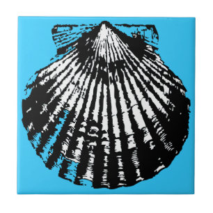 Seashell Sketch Tile