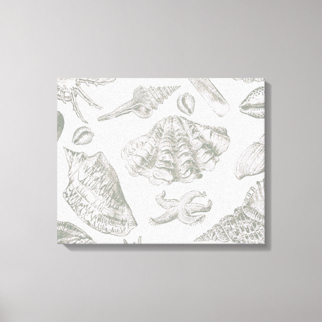 Seashell Soft Antique Art Beach Shells Canvas Print (Front)