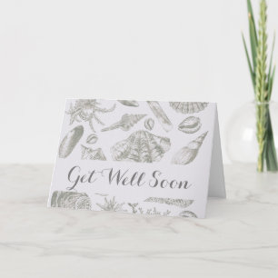Seashell Soft Antique Art Beach Shells Card