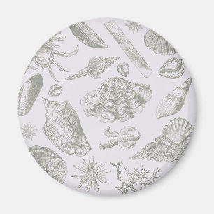Seashell Soft Antique Art Beach Shells Magnet