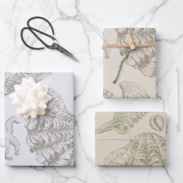Seashell Soft Antique Art Beach Shells Wrapping Paper Sheet (Front)