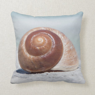 Seashell   St. Petersburg, Florida Cushion