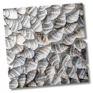 Seashell Starburst Nautical Print Tile