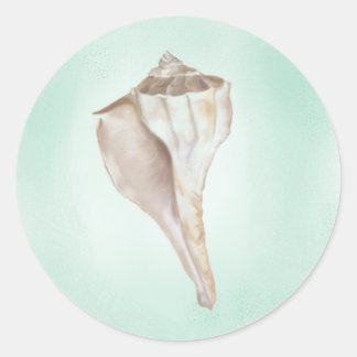 Seashell Sticker