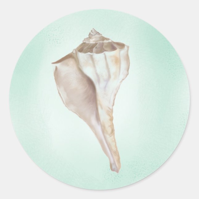 Seashell Sticker (Front)