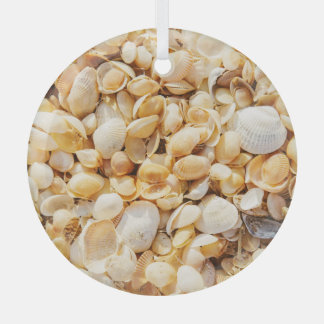 Seashell textured summer beach background. glass tree decoration