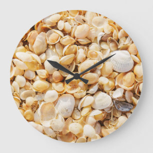 Seashell textured summer beach background. large clock
