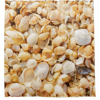 Seashell textured summer beach background. shower curtain