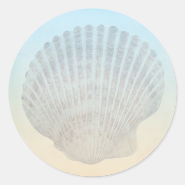 Seashell Tropical Beach Classic Round Sticker (Front)