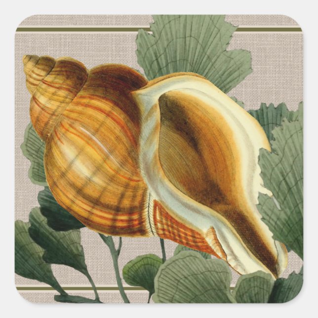 Seashell Vintage Beach Square Sticker (Front)
