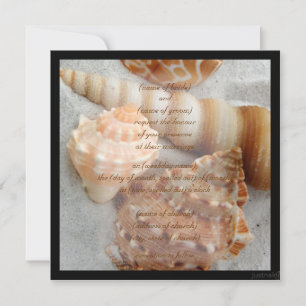 seashell white sand ii Invitation