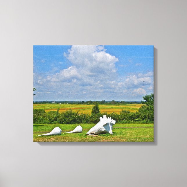 Seashell Wrapped Canvas (Front)