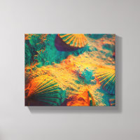 Seashells and Sand