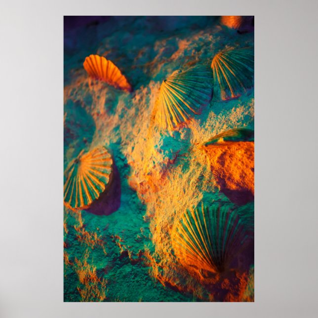 Seashells and Sand Poster (Front)
