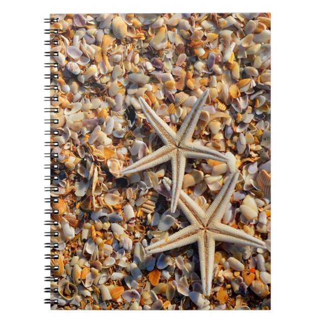 Seashells and Starfish Notebook (Front)
