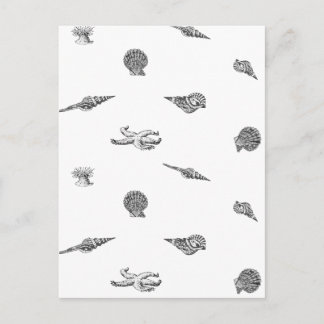 Seashells and Starfish pattern Postcard