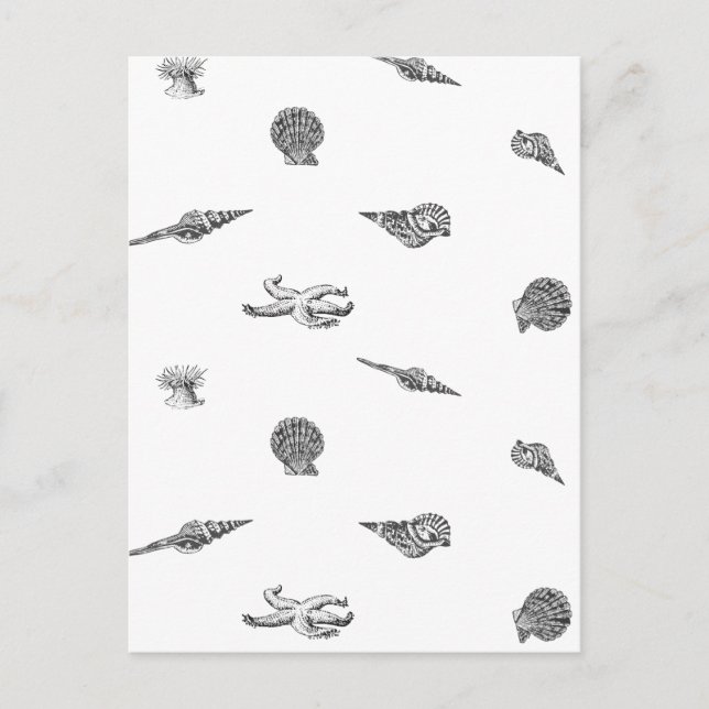 Seashells and Starfish pattern Postcard (Front)