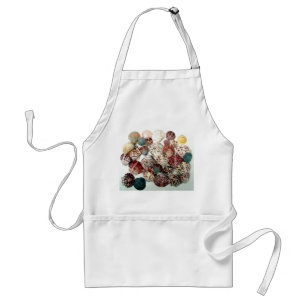 Seashells Apron
