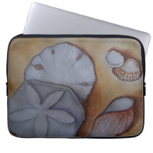 Seashells at the Seashore