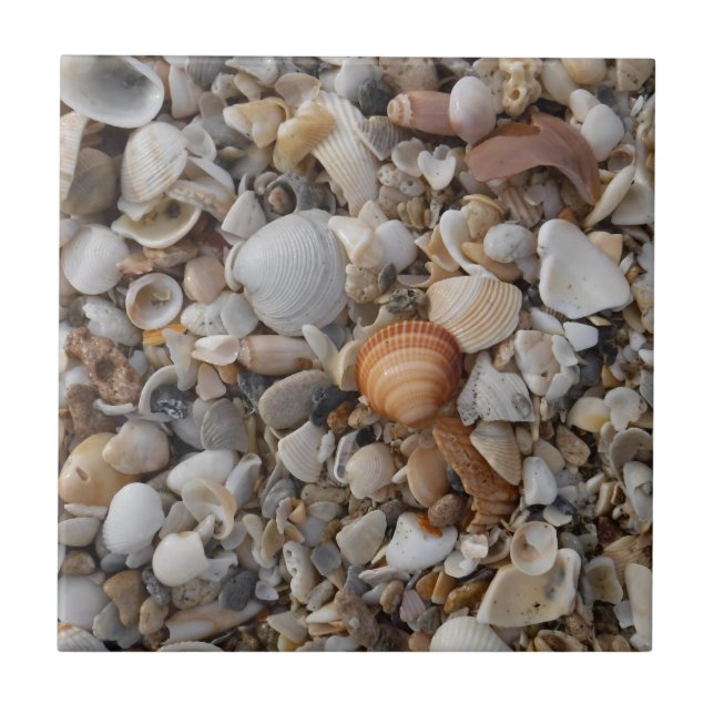 Seashells At The Seashore Tile (Front)