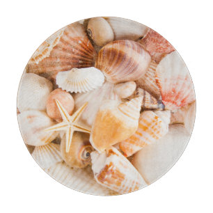 Seashells background: marine theme. cutting board
