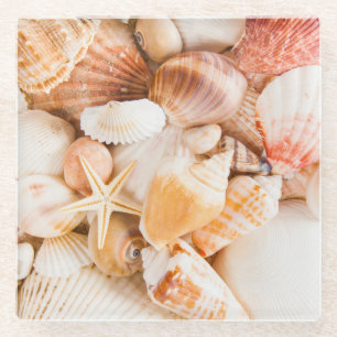 Seashells background: marine theme. glass coaster