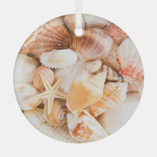 Seashells background: marine theme. glass tree decoration